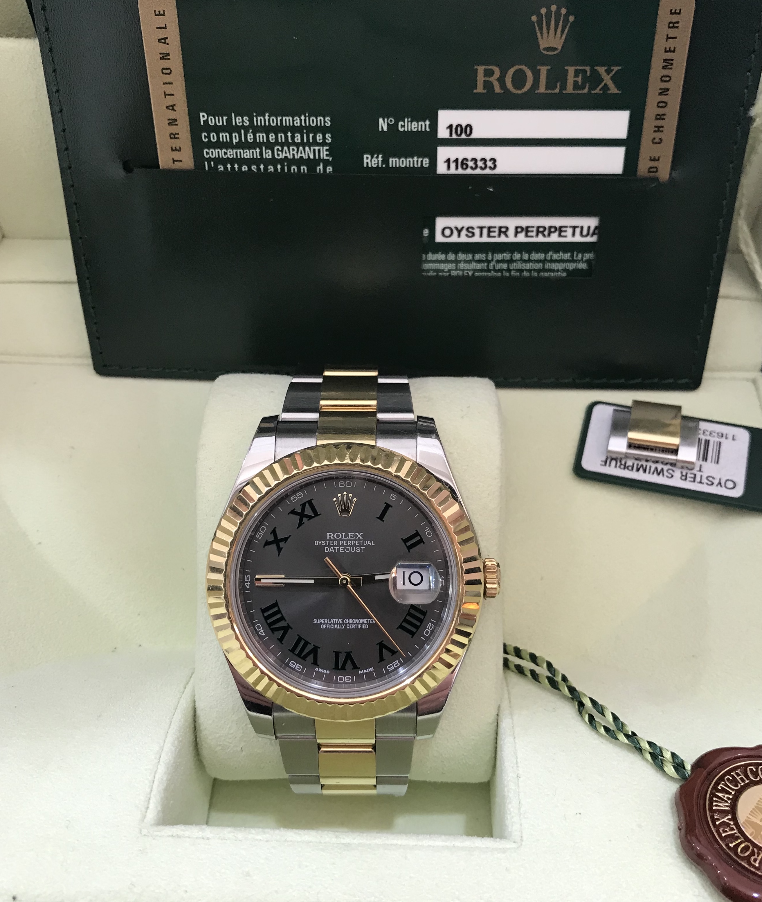 Rolex Datejust 2 Katalog Kadran Altın Çelik